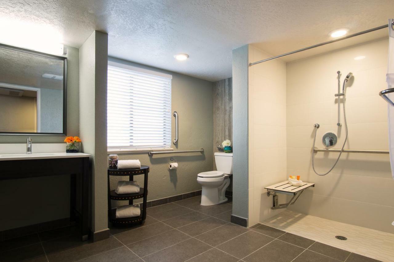 King Room Roll Shower Disability Access